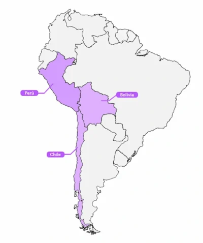 Agencia de marketing digital inmobiliario con presencia internacional