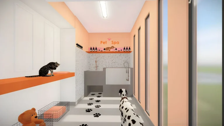 petfriendly depas san miguel magdalena