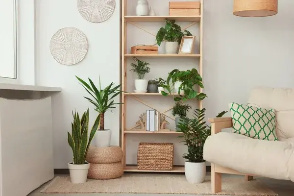 10 plantas para departamentos