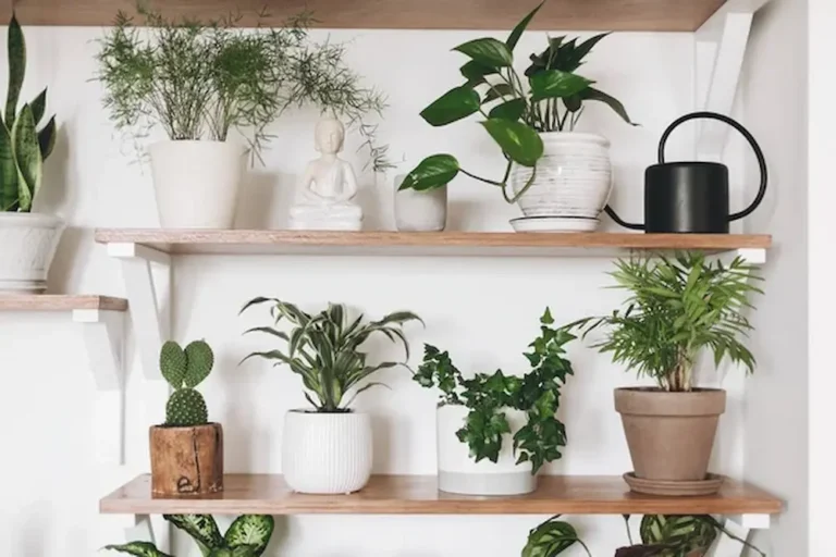 Consejos para una mudanza rápida y organizada